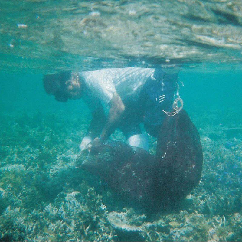 200417 China HK Site 800x800 Hadasei3 Algae