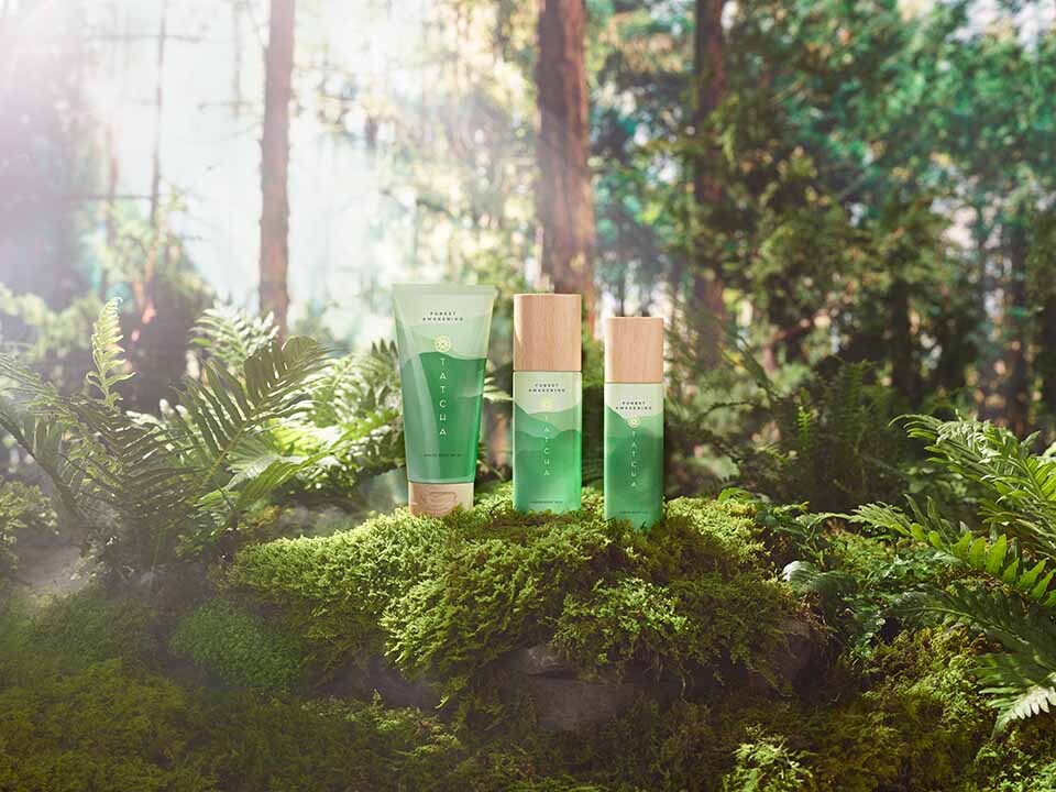 Forest awakening set