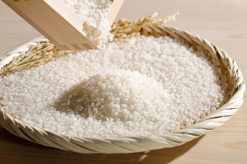 Rice