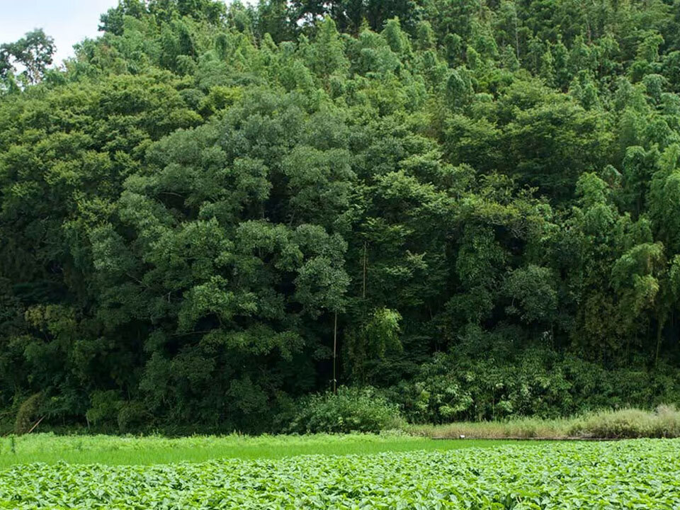 Sustainability jp